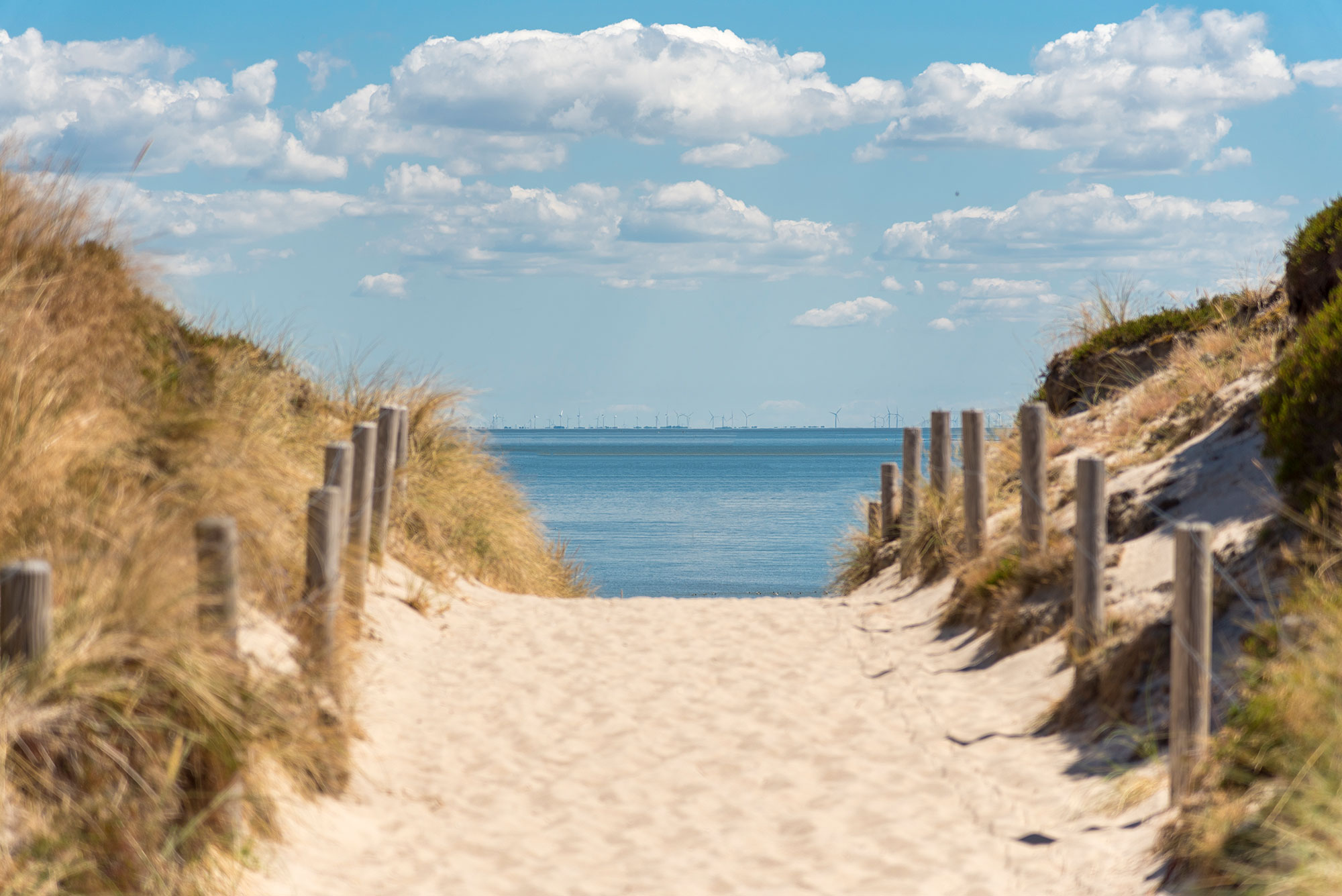 Der Strandübergang zwischen den Dünen mit Blick aufs Meer